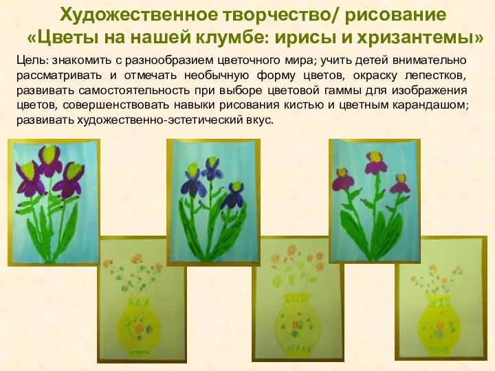 Художественное творчество/ рисование «Цветы на нашей клумбе: ирисы и хризантемы»