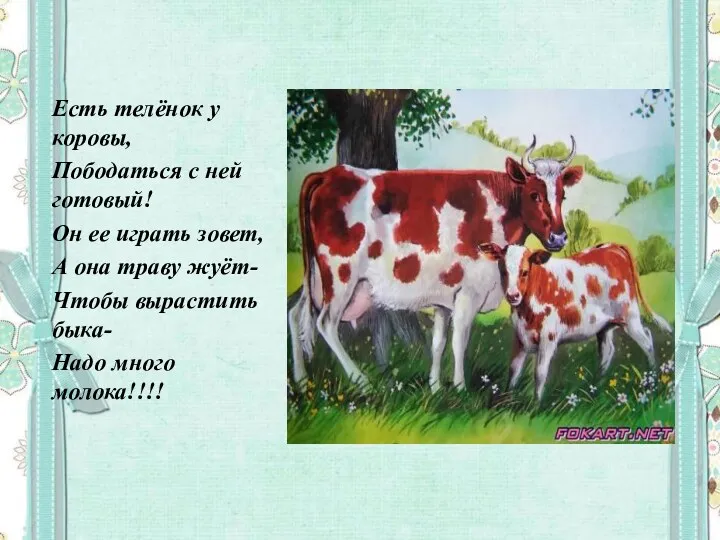 Есть телёнок у коровы, Пободаться с ней готовый! Он ее играть зовет, А