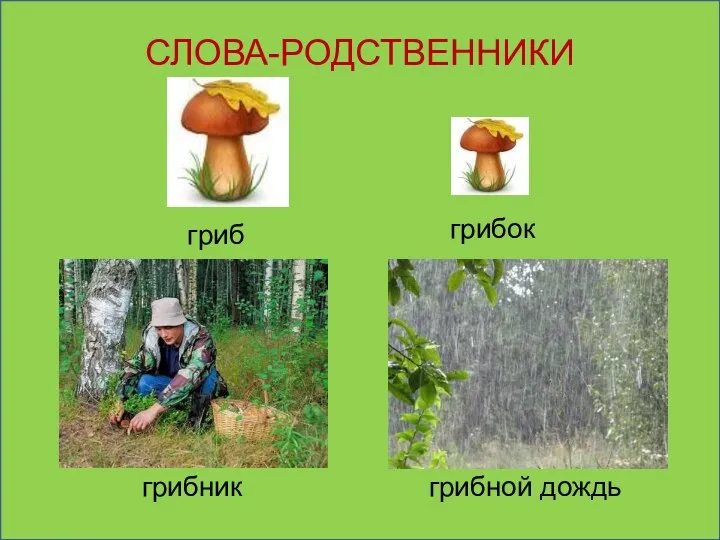 СЛОВА-РОДСТВЕННИКИ гриб грибник грибок грибной дождь
