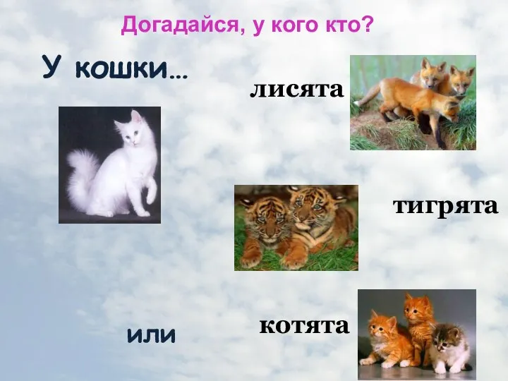 У кошки… котята тигрята лисята или Догадайся, у кого кто?