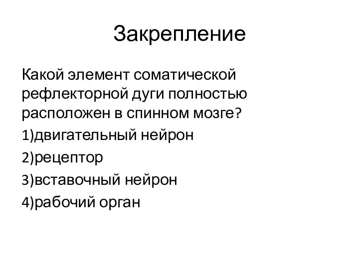 Закрепление Какой элемент соматической рефлекторной дуги полностью расположен в спинном