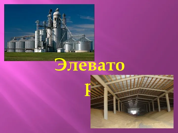 Элеватор