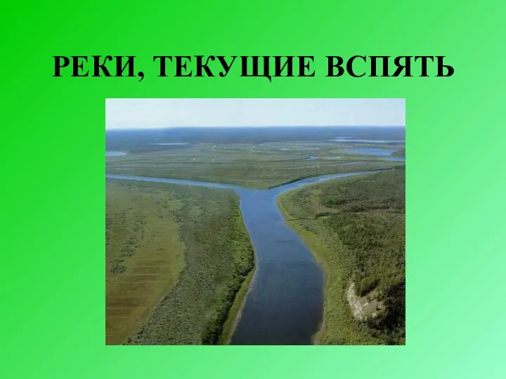 РЕКИ, ТЕКУЩИЕ ВСПЯТЬ