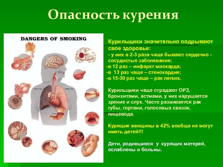 Опасность курения Курильщики значительно подрывают свое здоровье: - у них