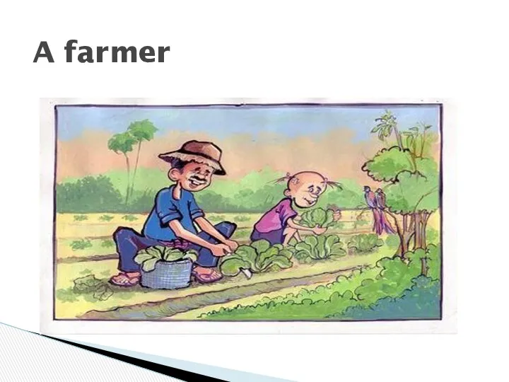 A farmer