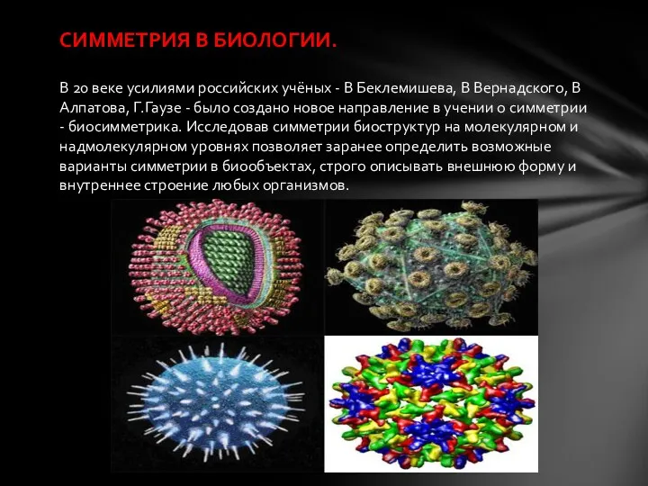 СИММЕТРИЯ В БИОЛОГИИ. В 20 веке усилиями российских учёных -