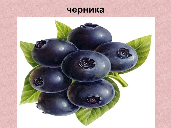 черника