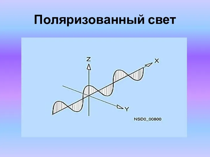 Поляризованный свет