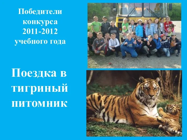 Победители конкурса 2011-2012 учебного года Поездка в тигриный питомник
