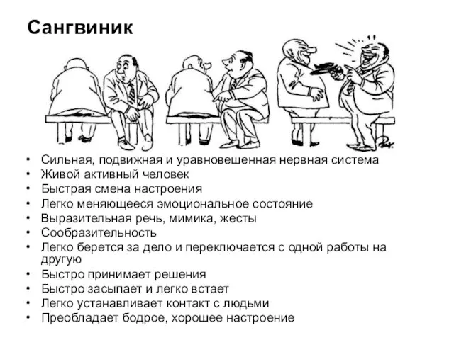 Сангвиник Сильная, подвижная и уравновешенная нервная система Живой активный человек