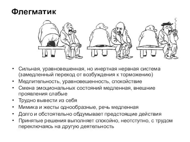 Флегматик Сильная, уравновешенная, но инертная нервная система (замедленный переход от