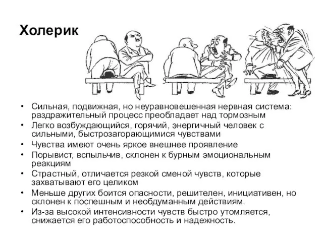 Холерик Сильная, подвижная, но неуравновешенная нервная система: раздражительный процесс преобладает