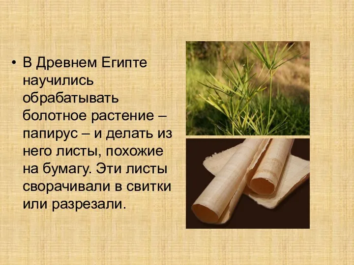 В Древнем Египте научились обрабатывать болотное растение – папирус –