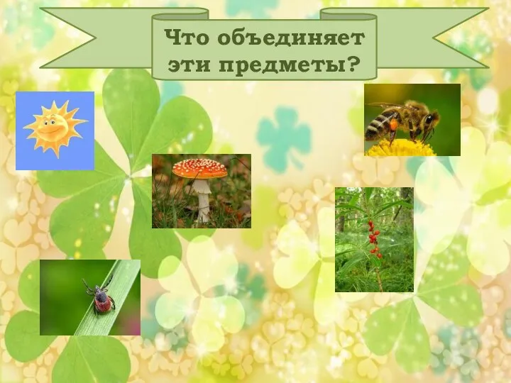 Что объединяет эти предметы?