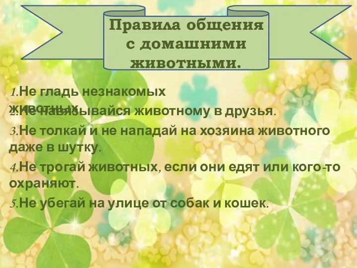 Правила общения с домашними животными. 1.Не гладь незнакомых животных. 2.Не