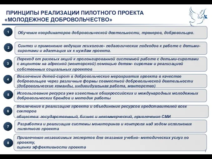 ПРИНЦИПЫ РЕАЛИЗАЦИИ ПИЛОТНОГО ПРОЕКТА «МОЛОДЕЖНОЕ ДОБРОВОЛЬЧЕСТВО» Обучение координаторов добровольческой деятельности,