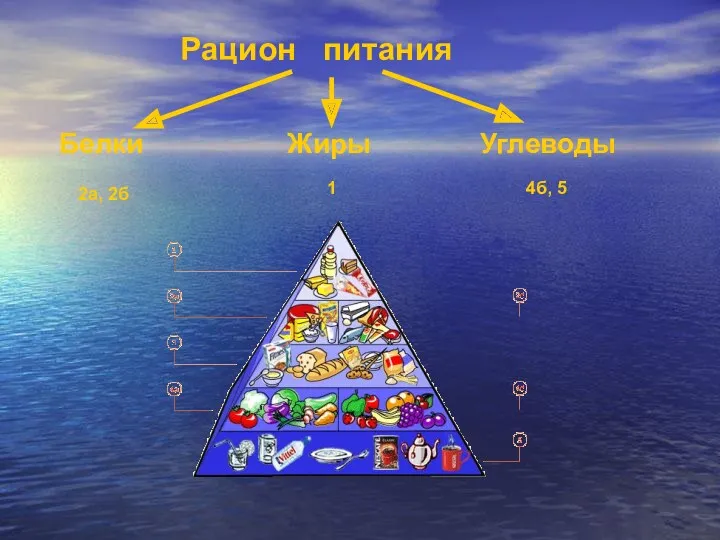 Рацион питания Белки Жиры Углеводы 2а, 2б 1 4б, 5