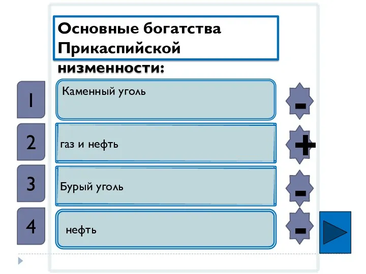 Каменный уголь газ и нефть Бурый уголь нефть Основные богатства