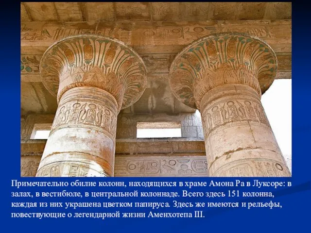 Примечательно обилие колонн, находящихся в храме Амона Ра в Луксоре: в залах, в