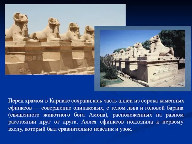 Перед храмом в Карнаке сохранилась часть аллеи из сорока каменных сфинксов — совершенно