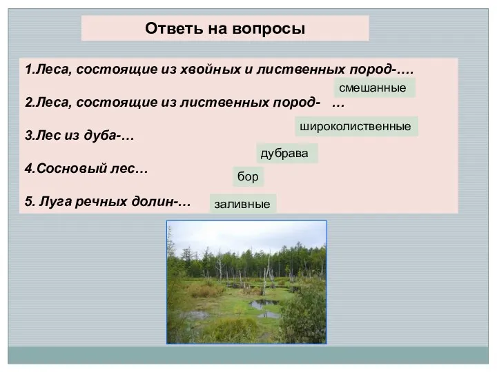 Ответь на вопросы 1.Леса, состоящие из хвойных и лиственных пород-…. 2.Леса, состоящие из