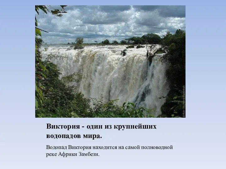 Виктория - один из крупнейших водопадов мира. Водопад Виктория находится на самой полноводной реке Африки Замбези.