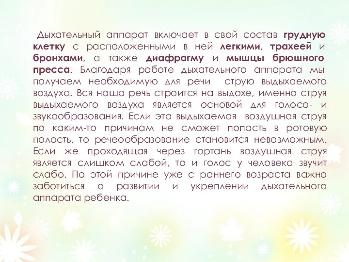 Дыхательный аппарат включает в свой состав грудную клетку с расположенными