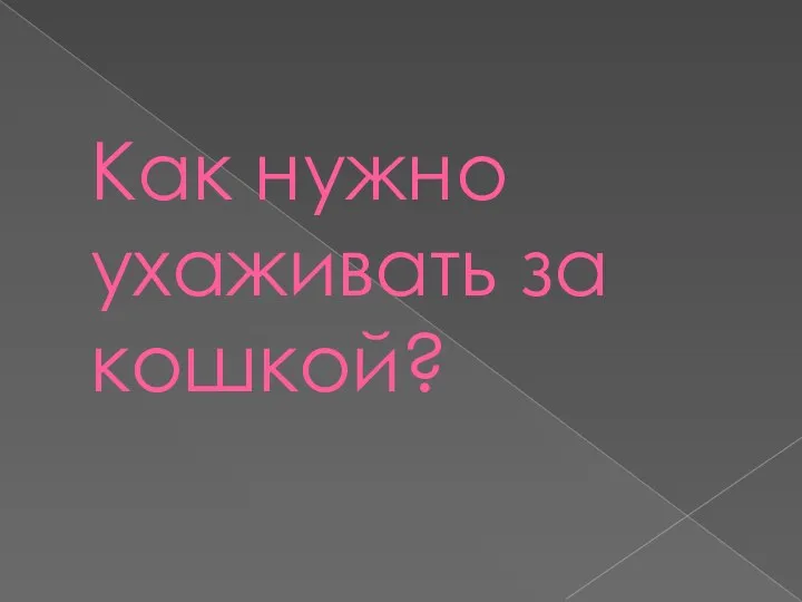 Как нужно ухаживать за кошкой?