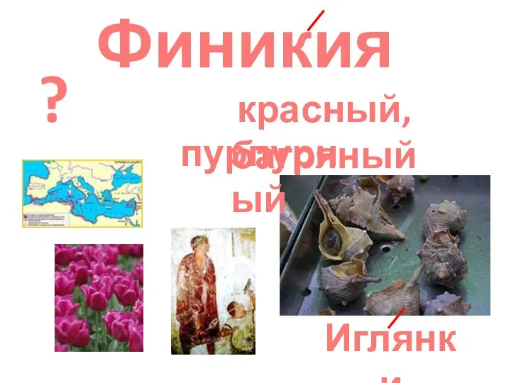 Финикия красный, багряный ? Иглянки пурпурный