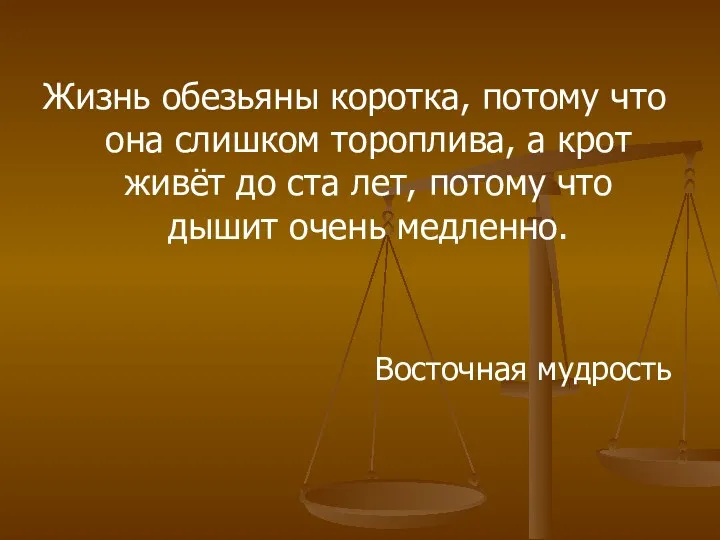 Жизнь обезьяны коротка, потому что она слишком тороплива, а крот