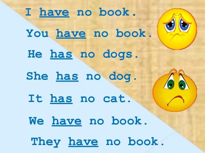I have no book. You have no book. He has no dogs. She