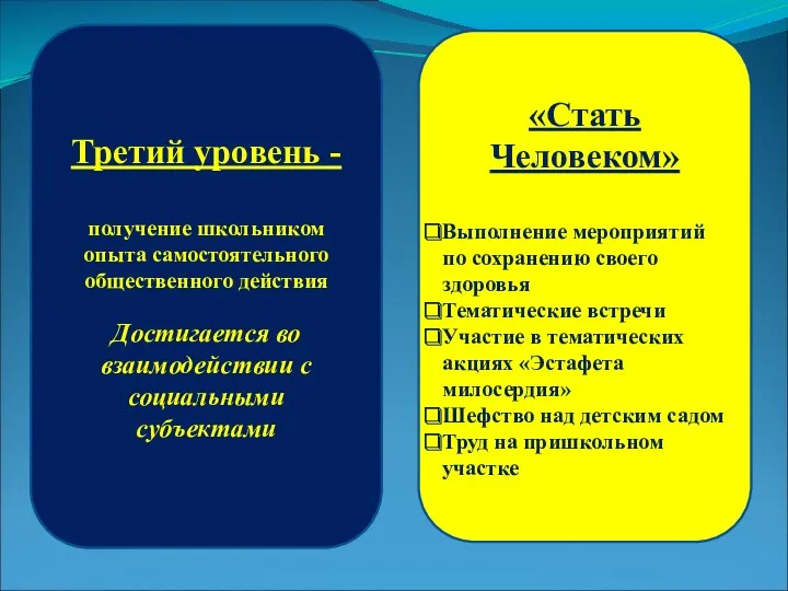 Третий уровень - получение школьником опыта самостоятельного общественного действия Достигается