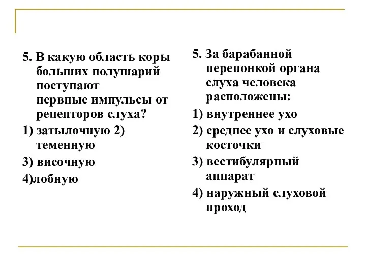 5. В какую область коры больших полушарий поступают нервные импульсы