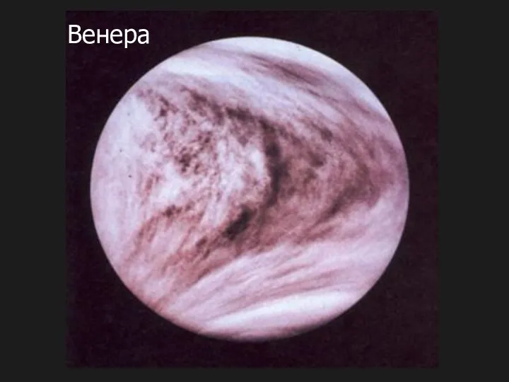 Венера