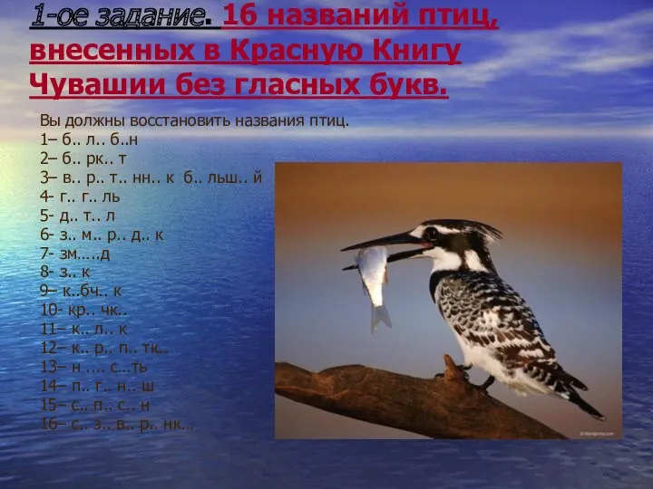 1-ое задание. 16 названий птиц, внесенных в Красную Книгу Чувашии