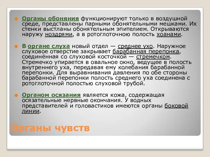 Органы чувств Органы обоняния функционируют только в воздушной среде, представлены