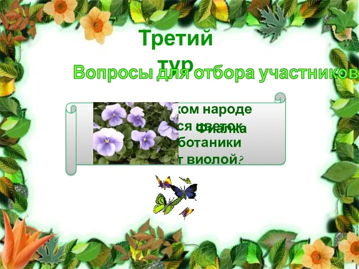 Третий тур Вопросы для отбора участников Как в русском народе называется цветок, который