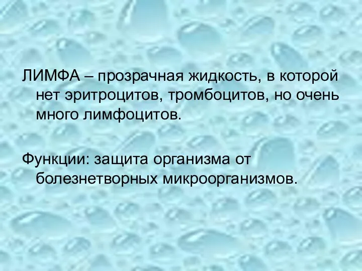 ЛИМФА – прозрачная жидкость, в которой нет эритроцитов, тромбоцитов, но