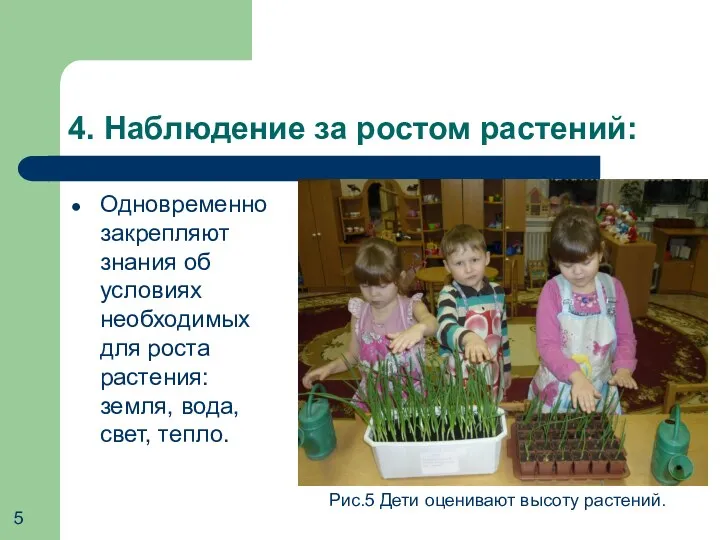 4. Наблюдение за ростом растений: Одновременно закрепляют знания об условиях