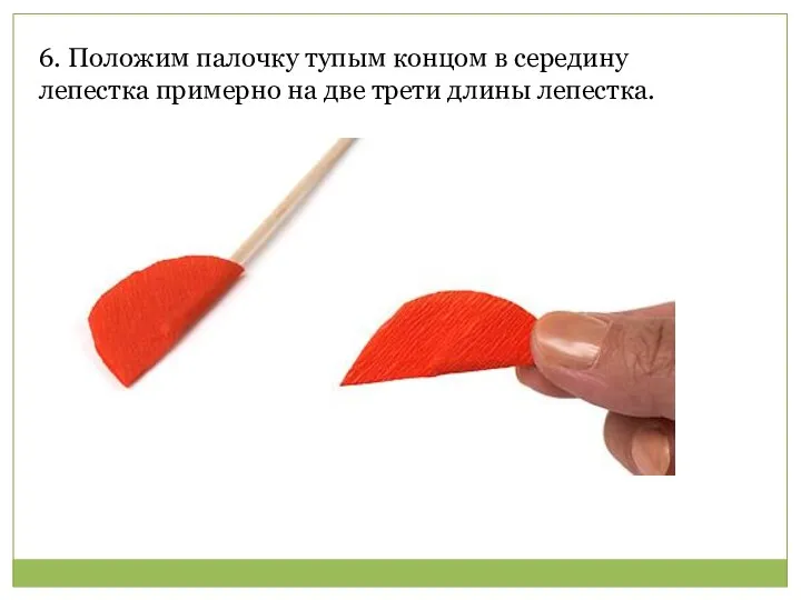 6. Положим палочку тупым концом в середину лепестка примерно на две трети длины лепестка.