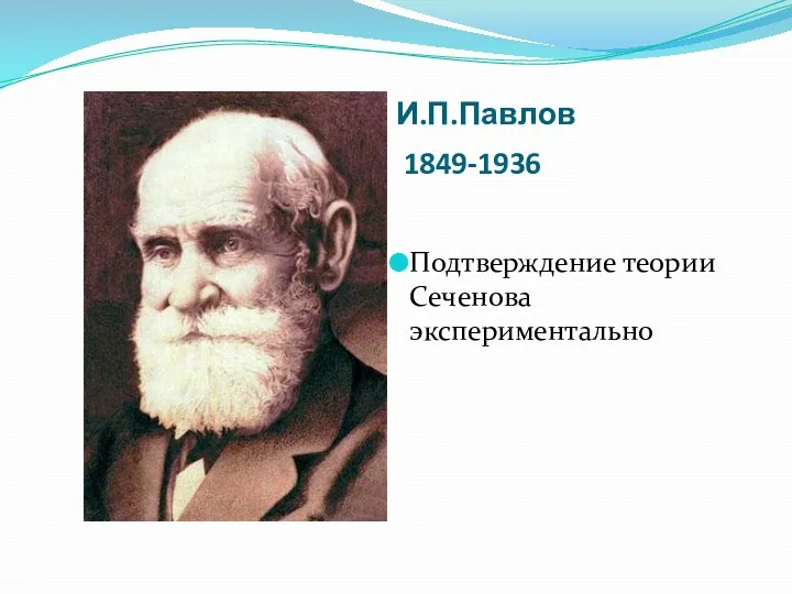 И.П.Павлов 1849-1936 Подтверждение теории Сеченова экспериментально