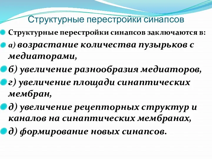 Структурные перестройки синапсов Структурные перестройки синапсов заключаются в: а) возрастание