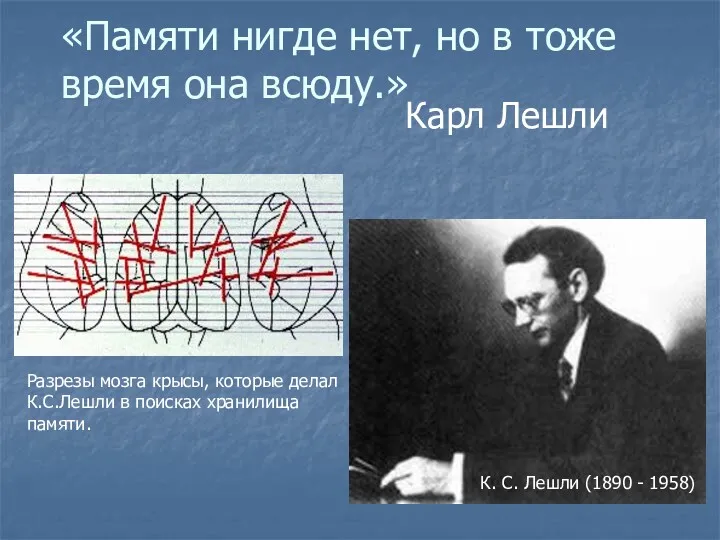 «Памяти нигде нет, но в тоже время она всюду.» Карл