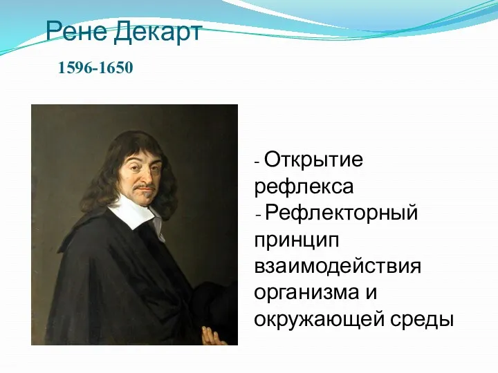 Рене Декарт 1596-1650 - Открытие рефлекса - Рефлекторный принцип взаимодействия организма и окружающей среды