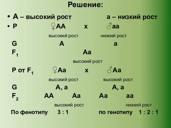 Решение: А – высокий рост а – низкий рост Р