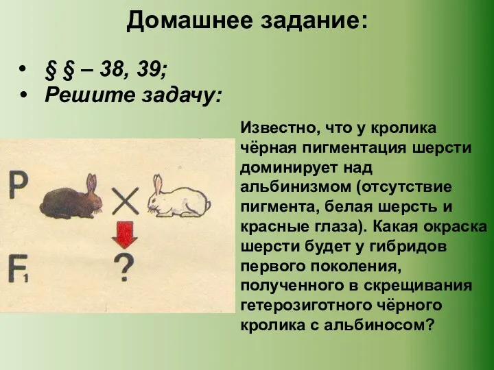 Домашнее задание: § § – 38, 39; Решите задачу: Известно, что у кролика