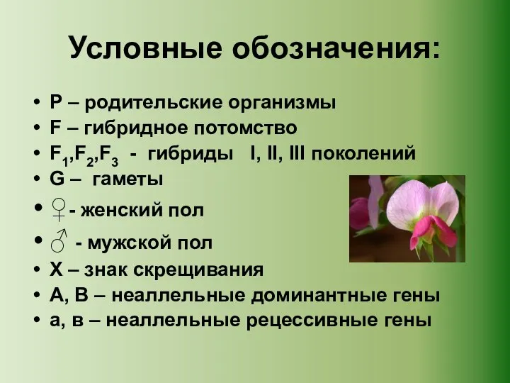 Условные обозначения: P – родительские организмы F – гибридное потомство