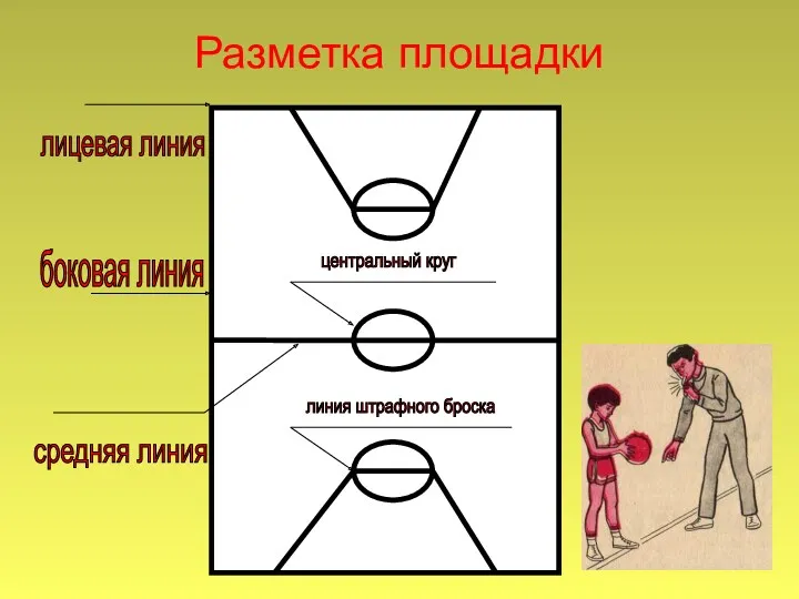 Разметка площадки лицевая линия боковая линия средняя линия