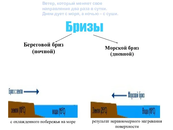 Бризы Береговой бриз (ночной) Морской бриз (дневной) с охлажденного побережья