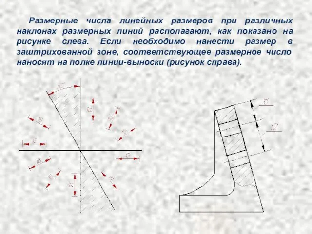 Размерные числа линейных размеров при различных наклонах размерных линий располагают,